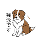 名前入りボーダーコリーブラウン（個別スタンプ：19）