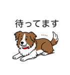 名前入りボーダーコリーブラウン（個別スタンプ：23）