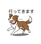 名前入りボーダーコリーブラウン（個別スタンプ：24）