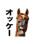 激しいウマさん☆（個別スタンプ：4）