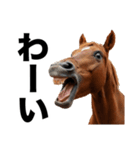 激しいウマさん☆（個別スタンプ：13）