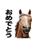 激しいウマさん☆（個別スタンプ：15）