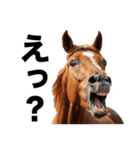 激しいウマさん☆（個別スタンプ：21）