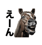 激しいウマさん☆（個別スタンプ：23）