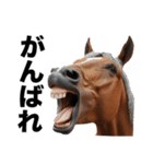激しいウマさん☆（個別スタンプ：26）