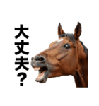 激しいウマさん☆（個別スタンプ：28）