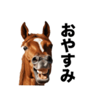 激しいウマさん☆（個別スタンプ：37）