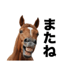 激しいウマさん☆（個別スタンプ：38）