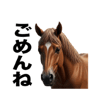 激しいウマさん☆（個別スタンプ：39）