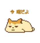 やる気ゼロねこ とろっちょのゆるスタンプ（個別スタンプ：19）