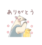 パンダとコアリクイ♢感情を伝える（個別スタンプ：2）