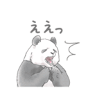 パンダとコアリクイ♢感情を伝える（個別スタンプ：7）