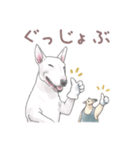パンダとコアリクイ♢感情を伝える（個別スタンプ：9）