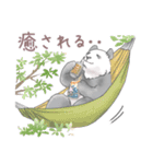 パンダとコアリクイ♢感情を伝える（個別スタンプ：13）