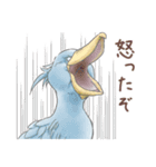 パンダとコアリクイ♢感情を伝える（個別スタンプ：22）