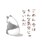 パンダとコアリクイ♢感情を伝える（個別スタンプ：24）