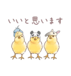 パンダとコアリクイ♢感情を伝える（個別スタンプ：36）
