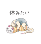 パンダとコアリクイ♢感情を伝える（個別スタンプ：38）