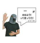 鳩コメント風スタンプ【ネタ・面白】（個別スタンプ：7）