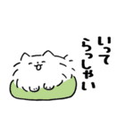 ずっと使える！ゆるかわポメラニアン（個別スタンプ：20）