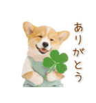ポジティブな気持ちを伝えるコーギー（個別スタンプ：3）