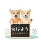 ポジティブな気持ちを伝えるコーギー（個別スタンプ：9）