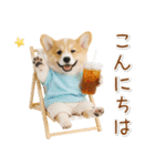 ポジティブな気持ちを伝えるコーギー（個別スタンプ：10）