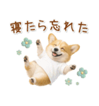 ポジティブな気持ちを伝えるコーギー（個別スタンプ：15）