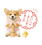 ポジティブな気持ちを伝えるコーギー（個別スタンプ：21）
