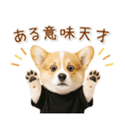 ポジティブな気持ちを伝えるコーギー（個別スタンプ：22）