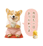 ポジティブな気持ちを伝えるコーギー（個別スタンプ：24）