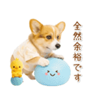 ポジティブな気持ちを伝えるコーギー（個別スタンプ：25）