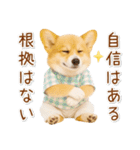 ポジティブな気持ちを伝えるコーギー（個別スタンプ：26）