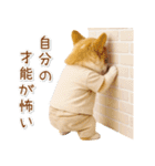 ポジティブな気持ちを伝えるコーギー（個別スタンプ：27）