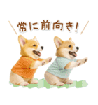 ポジティブな気持ちを伝えるコーギー（個別スタンプ：28）