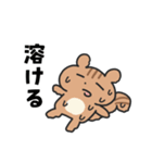 夏のシマリスこりすスタンプ（個別スタンプ：14）
