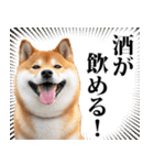 酒☆柴犬（個別スタンプ：3）