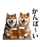 酒☆柴犬（個別スタンプ：4）