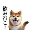 酒☆柴犬（個別スタンプ：5）