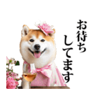 酒☆柴犬（個別スタンプ：10）