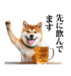 酒☆柴犬（個別スタンプ：14）