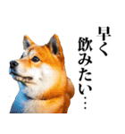 酒☆柴犬（個別スタンプ：17）