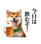 酒☆柴犬（個別スタンプ：20）