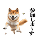 酒☆柴犬（個別スタンプ：26）