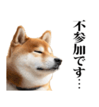 酒☆柴犬（個別スタンプ：27）