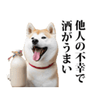 酒☆柴犬（個別スタンプ：31）