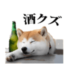 酒☆柴犬（個別スタンプ：36）