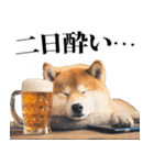 酒☆柴犬（個別スタンプ：38）