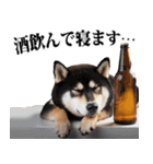 酒☆柴犬（個別スタンプ：40）