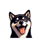 無言で伝える黒柴犬 健康体形（個別スタンプ：2）